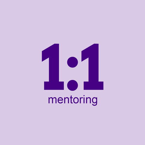 1:1 mentoring