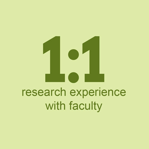 1:1 research experience with faculty
