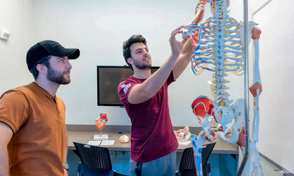 Two students examining a skeleton model in the Anatomy Room in Rose Library.
