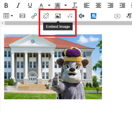 Screen shot of embedded image button location