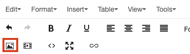 Screenshot of the WYSIWYG toolbar with the Insert/edit image icon outlined in red.