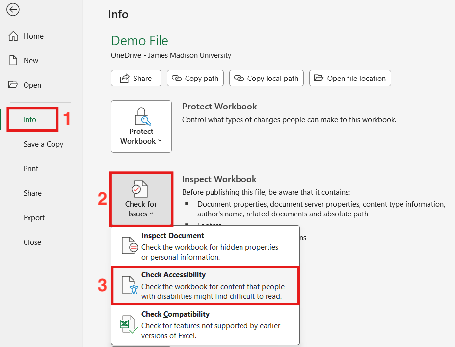 Screenshot of the Excel Info panel, highlighting options for checking accessibility and inspecting the workbook for issues.
