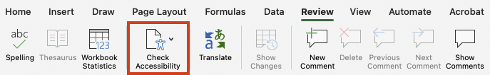 The Review tab in Excel showing the "Check Accessibility" option highlighted.