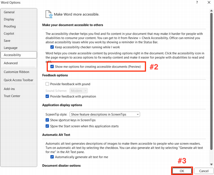 Screenshot of the Options menu in Microsoft Word for Windows showing the inline accessibility checkbox and OK box highlighted