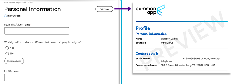 Common App Preview Button