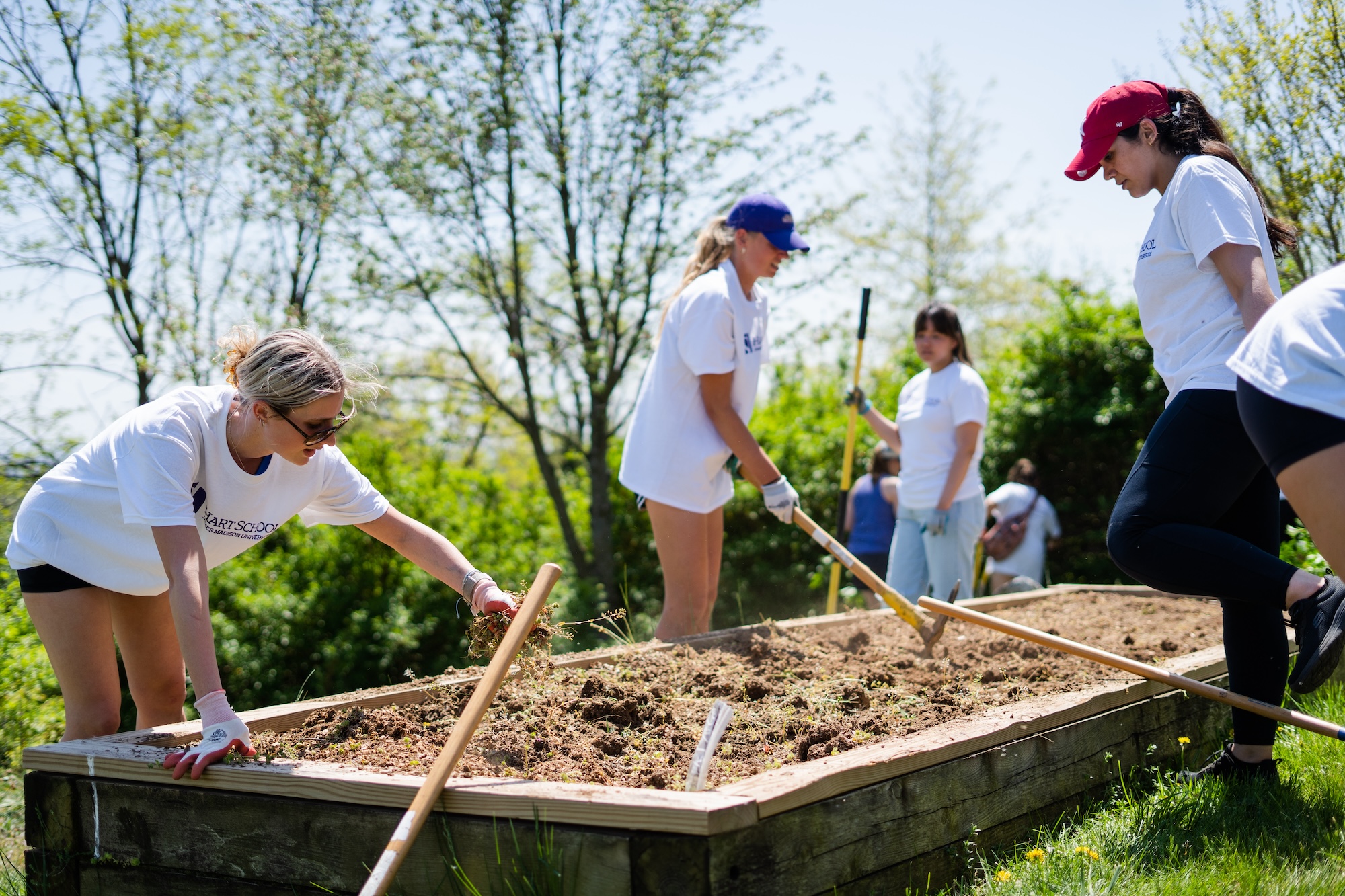 Hart School students volunteering