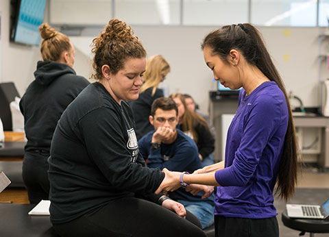 image for Explore majors in health and behavioral studies