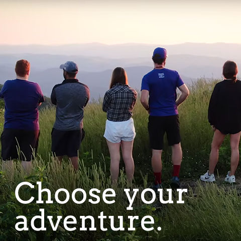 Choose your adventure.