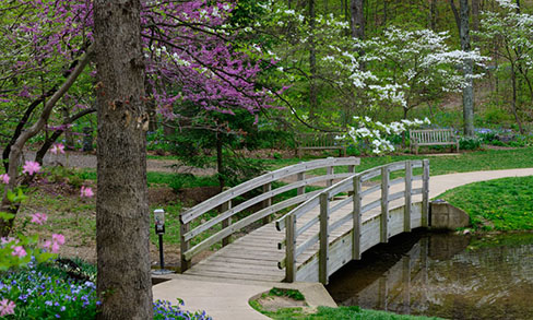 JMU Arboretum