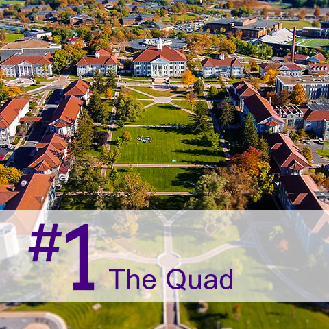 #1 The Quad