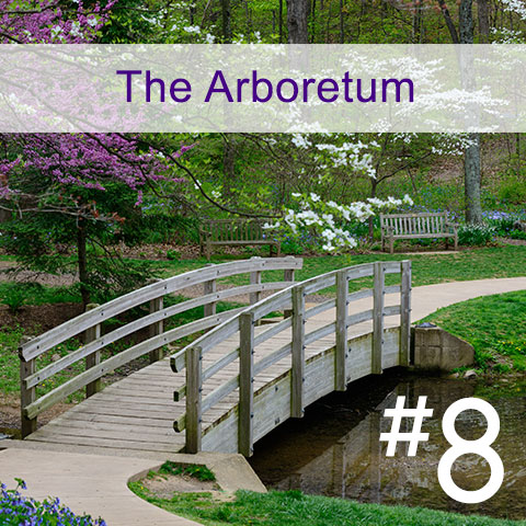 #8 The Arboretum