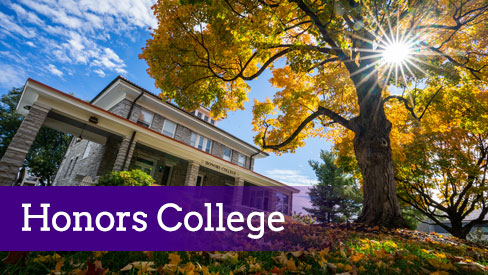Video: Honors College Tour