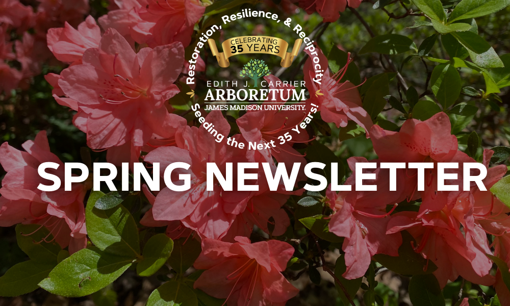 Read our Spring Newsletter for updates about the Arboretum!