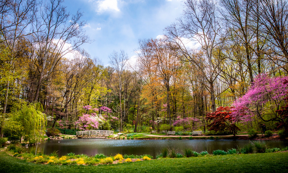Arboretum receives Chesapeake Bay Trust grant to advance expansion