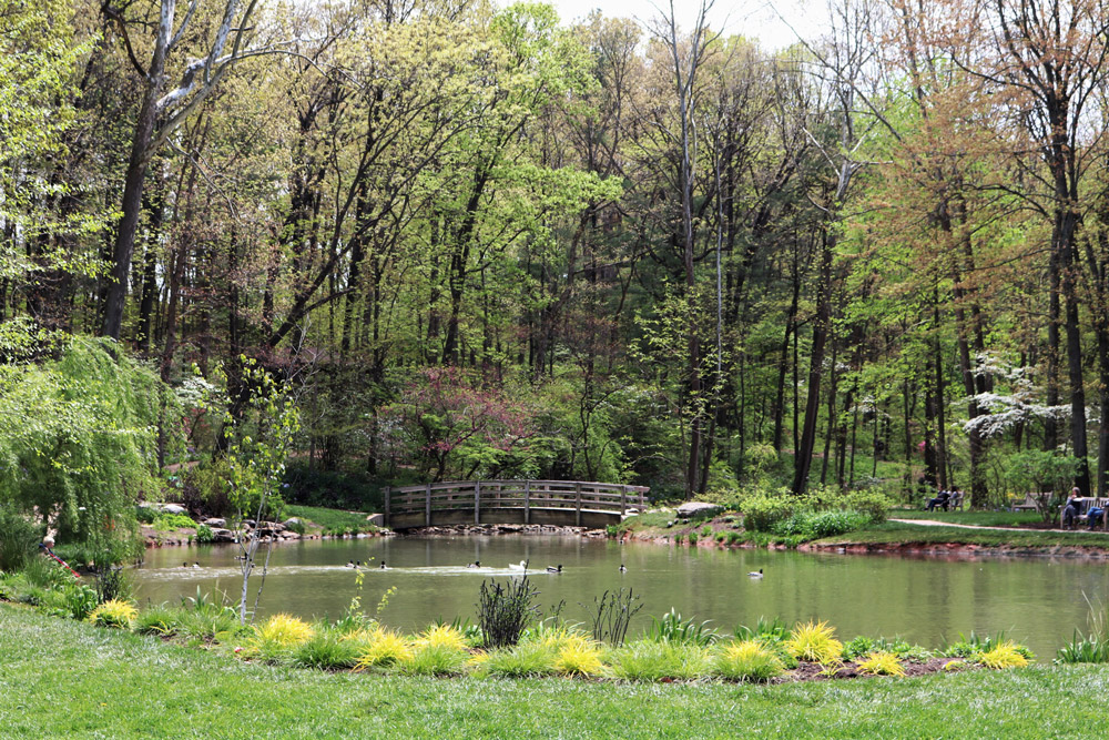 Edith J. Carrier Arboretum JMU