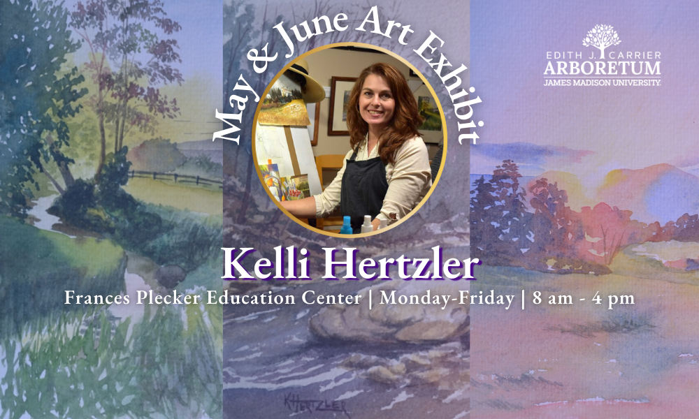 Image of new May June 2025 artist Kelli Hertzler