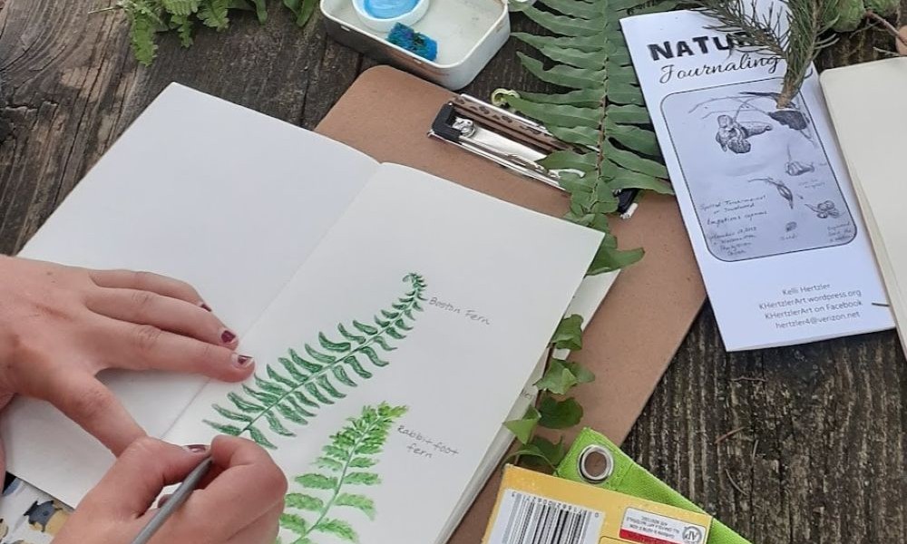 Nature journaling is the act of recording your own observations of the natural world.