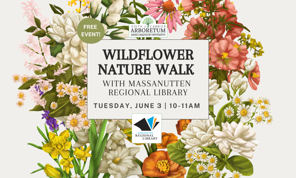 Promotional flyer for a nature walk at the Arboretum