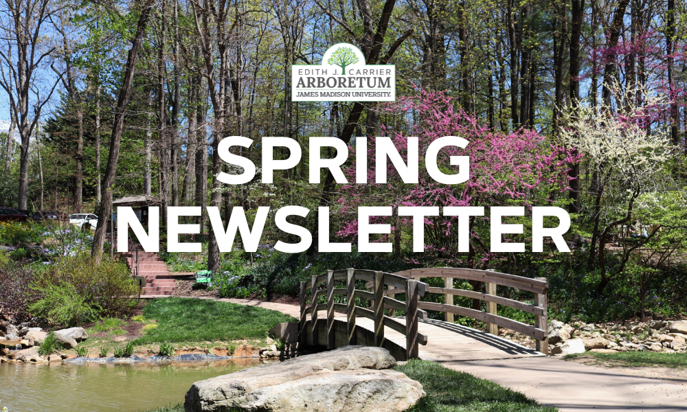 Read our Spring Newsletter for updates about the Arboretum!