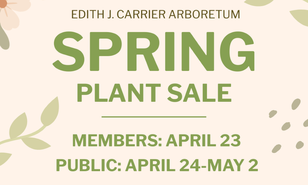 We're excited to host the Spring 2026 Plant & Tree Sale at a new location: 1981 Warwick Drive in Harrisonburg.
