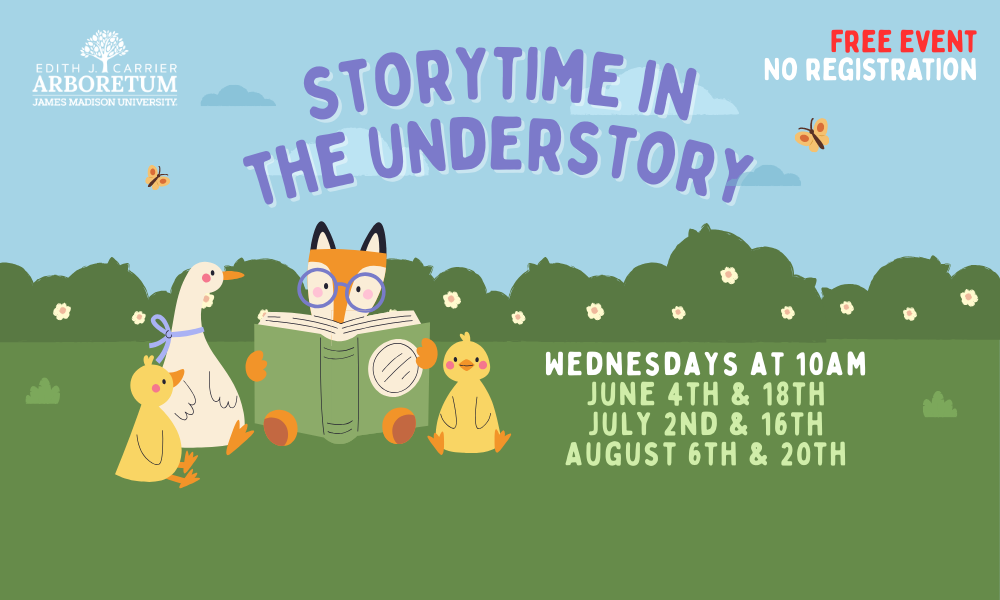flyer for storytime in the understory for young kids