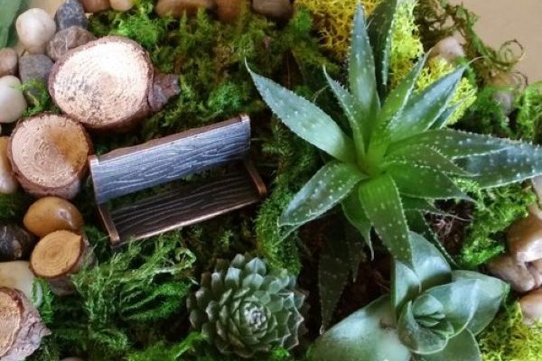 Terrarium workshop