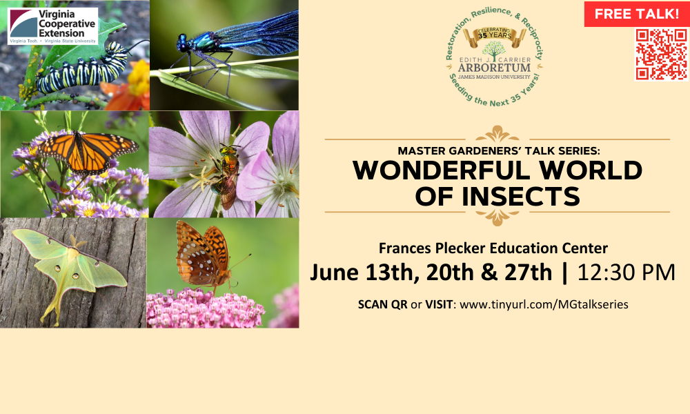 Photo of flyer about insect talk series given by Master Gardeners 