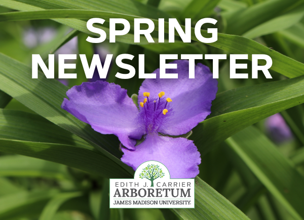 image for View the Newsletter