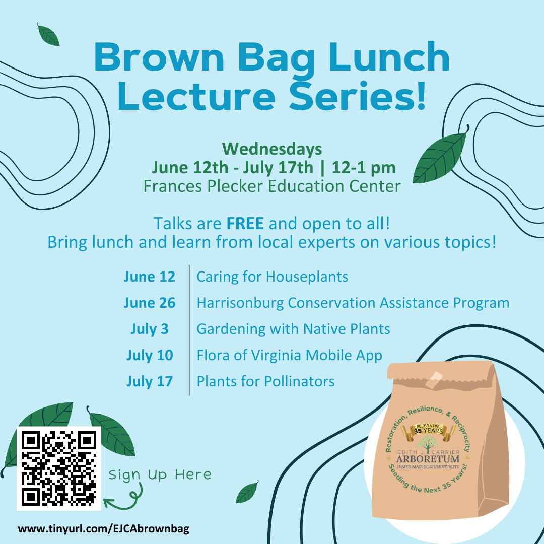 flyer for brown bag lecture