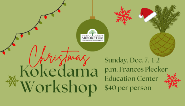 Christmas Kokedama