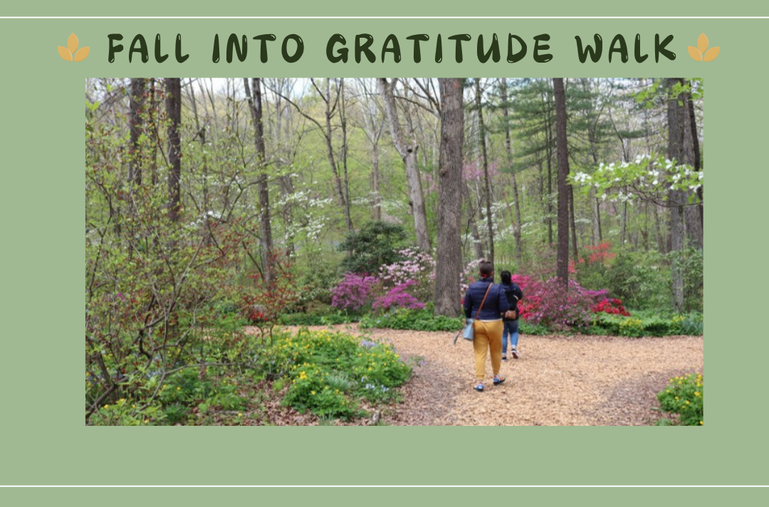 Fall Into Gratitude Walk