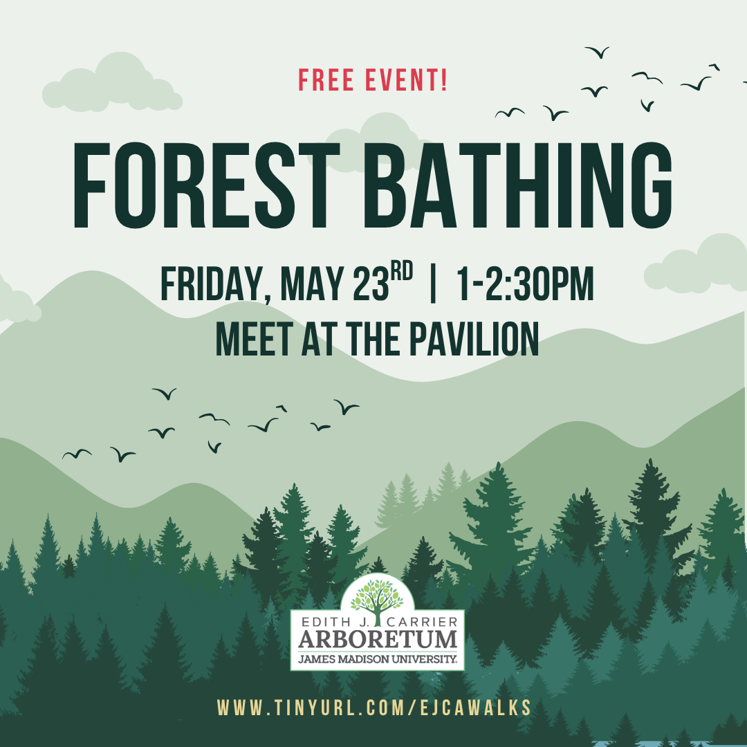 Event flyer for a free forest bathing session at Edith J. Carrier Arboretum, scheduled for Friday, May 23rd from 1 to 2:30 PM.
