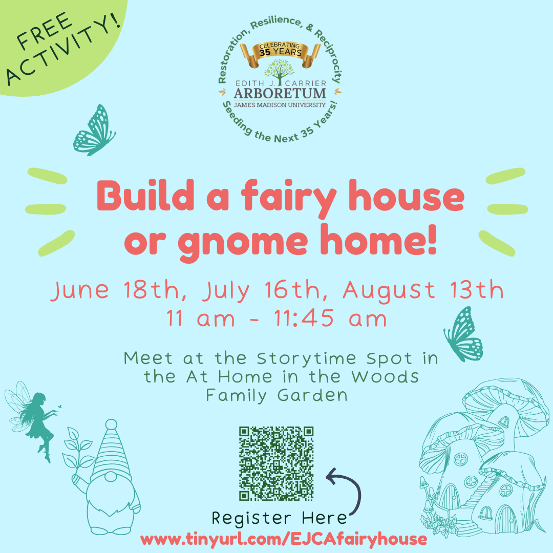 flyer for gnome home building activity