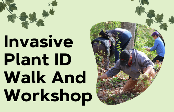 Invasive Plant ID Walk and Workshop
