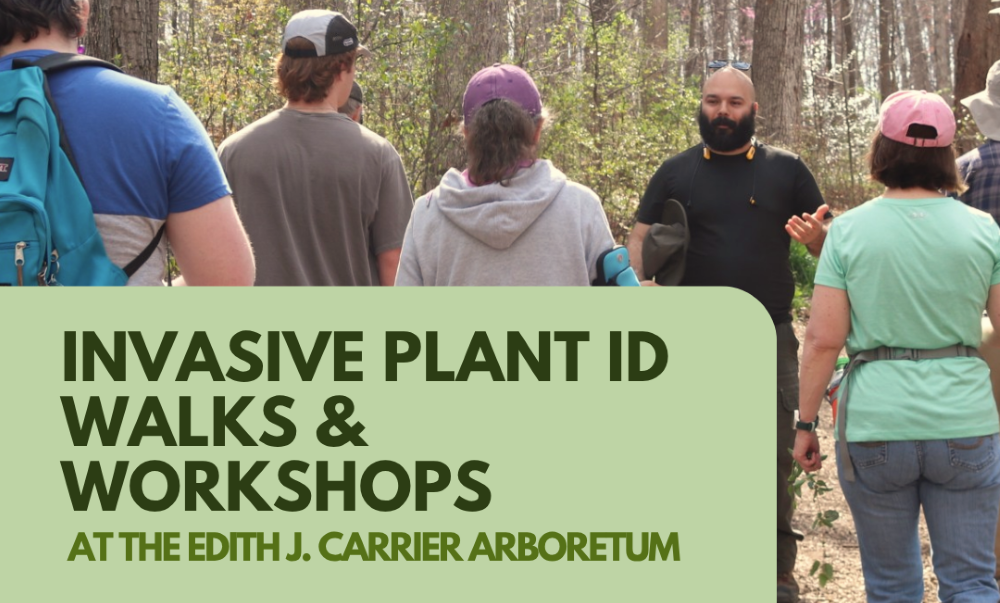 Invasive Plant ID Walk and Workshop