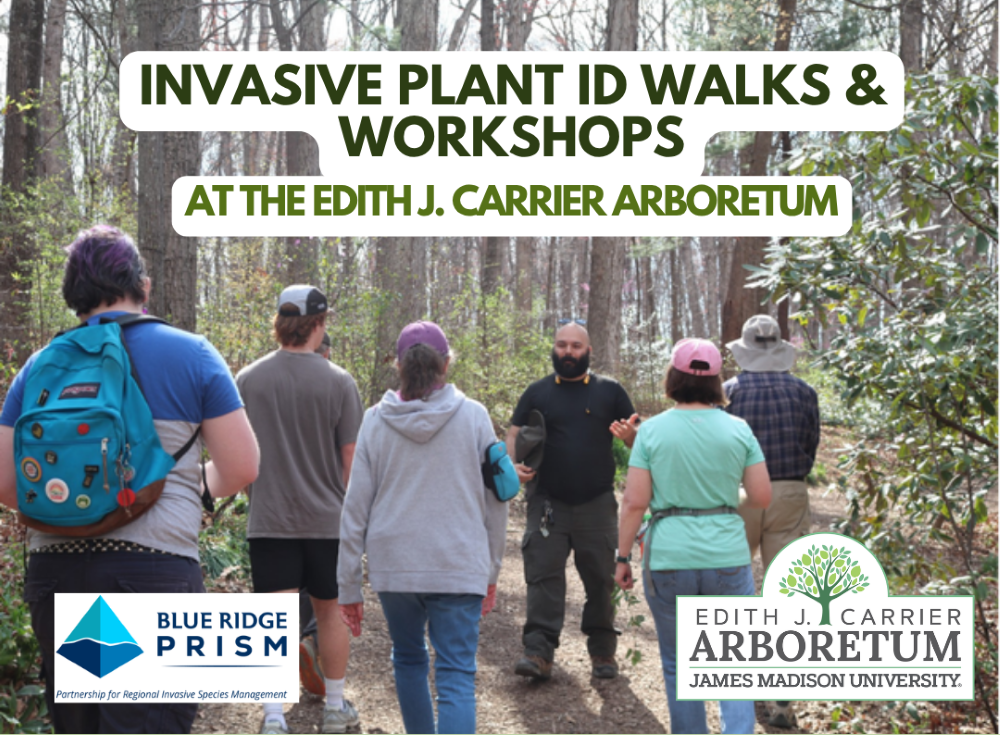 Invasive Plant ID Walk and Workshop