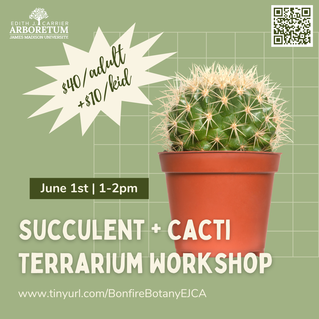 Promotional graphic for a Succulent and Cacti Terrarium Workshop, featuring a potted cactus and event details including date, time, and pricing.