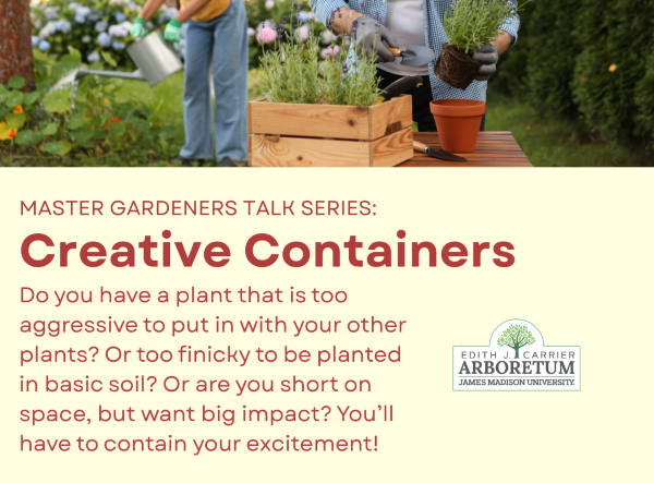 Master Gardeners Creative Containers