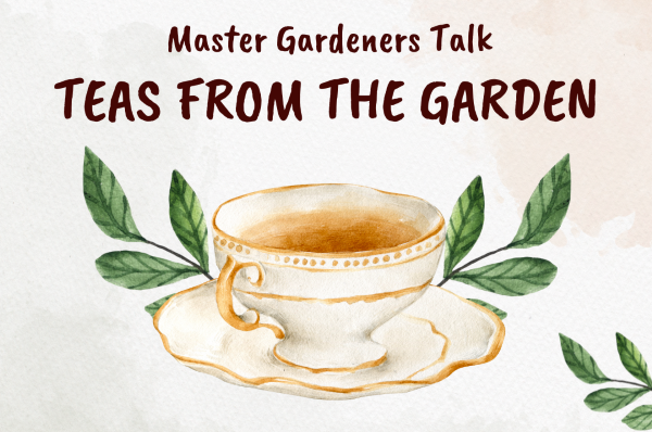 Master Gardeners Tea Time