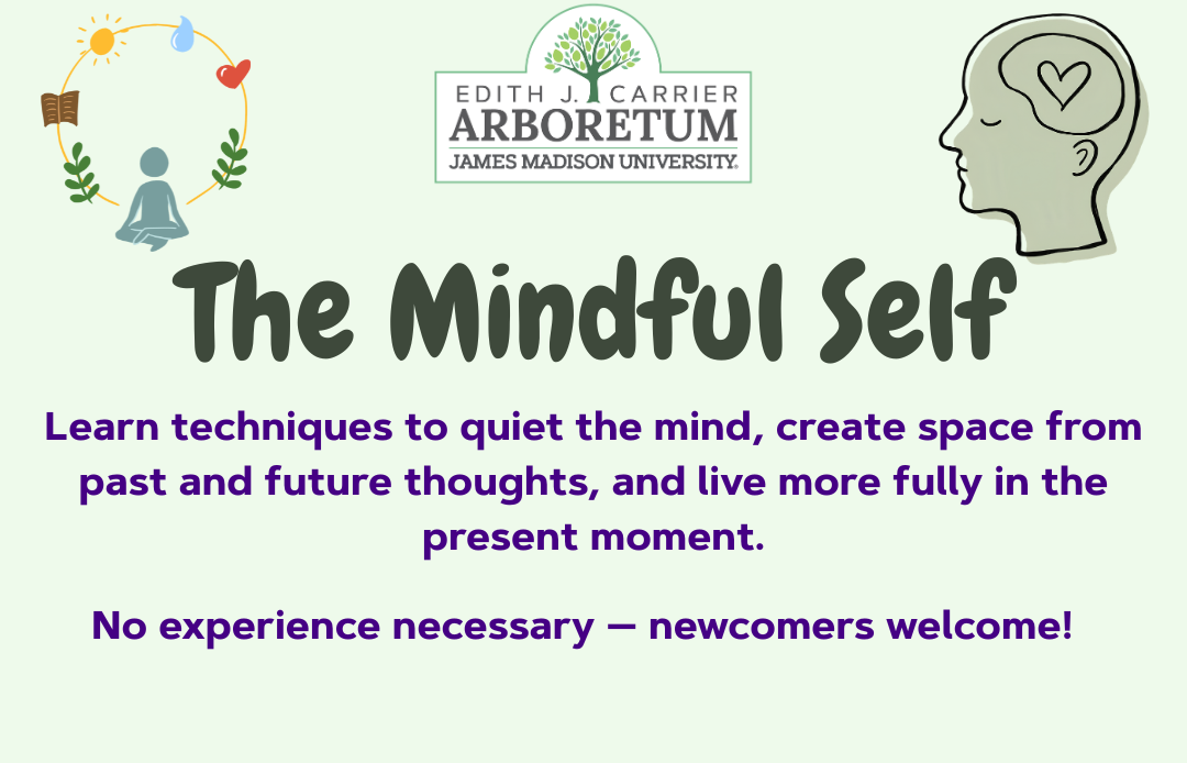Mindful Self