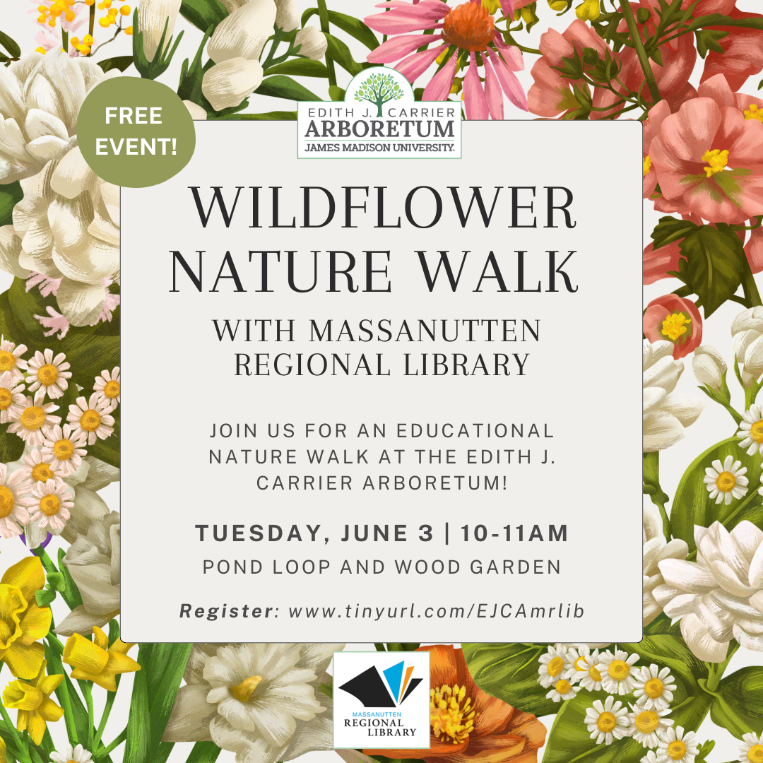 A colorful promotional flyer for a Wildflower Nature Walk event at the Edith J. Carrier Arboretum, featuring floral designs and event details.