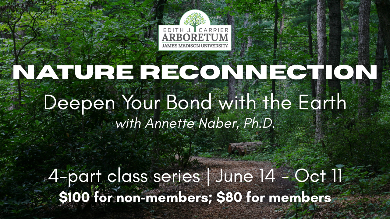 Promotional banner for a Nature Reconnection class series at the Edith J. Carrier Arboretum, featuring details on dates, pricing, and instructor Annette Naber, Ph.D.