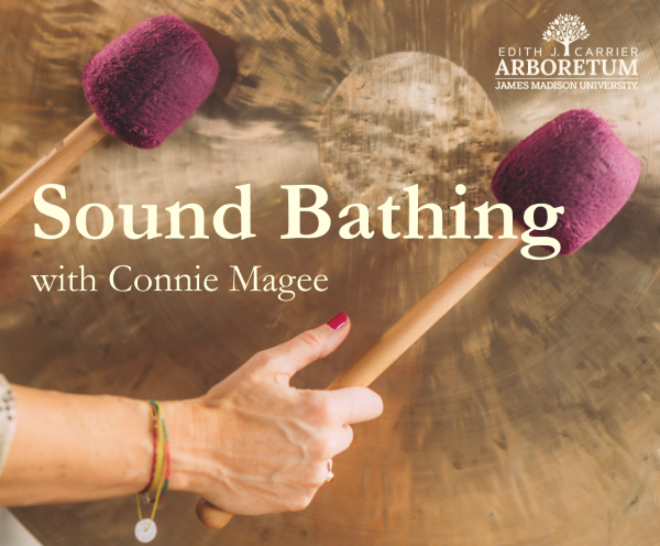 Sound Bathing with Connie Magee