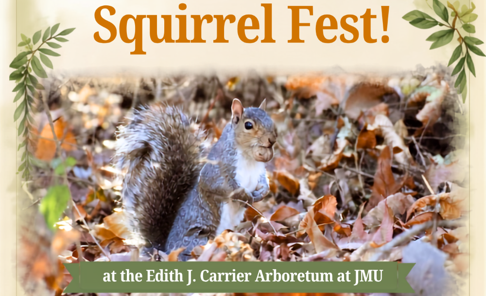 Squirrel Fest
