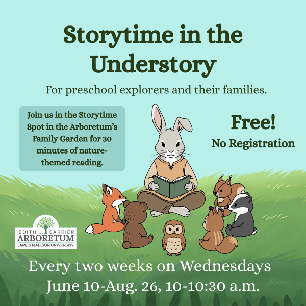 Storytime in Understory