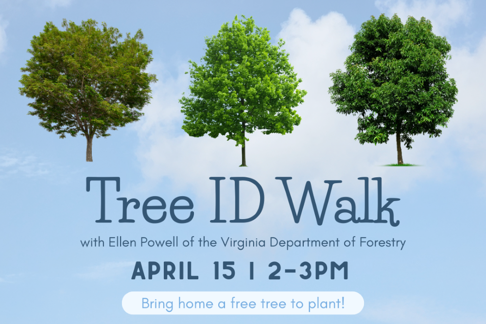 Tree ID Walk