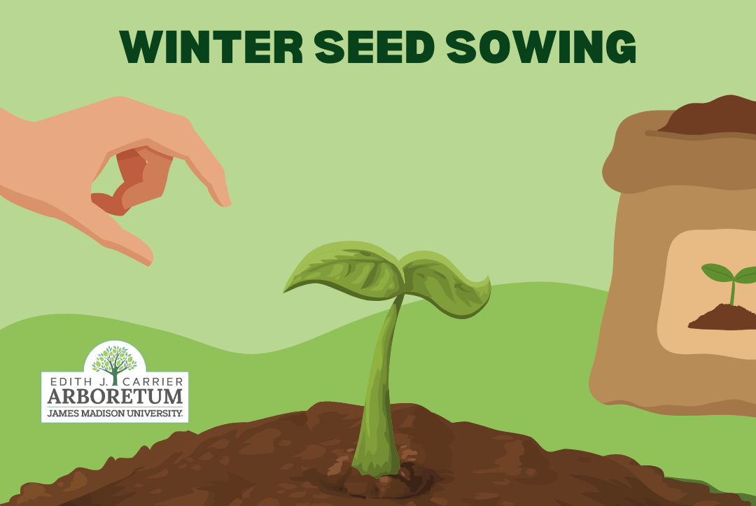 Winter Seed Sowing