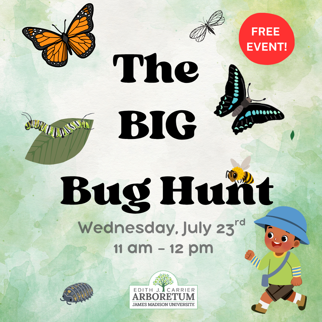 The Big Bug Hunt 2025
