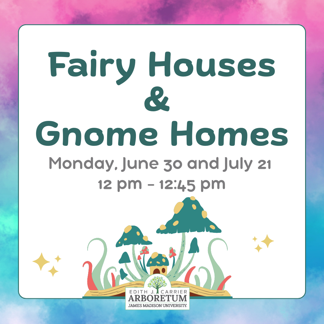 Fairy Houses and Gnome Homes
