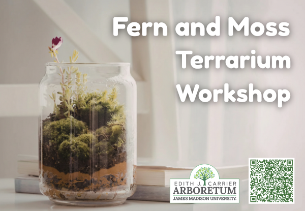 Fern and Moss Terrarium Workshop
